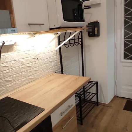 In The Heart Of Parliament 2 Min 47m2 And Garden * Budapest
